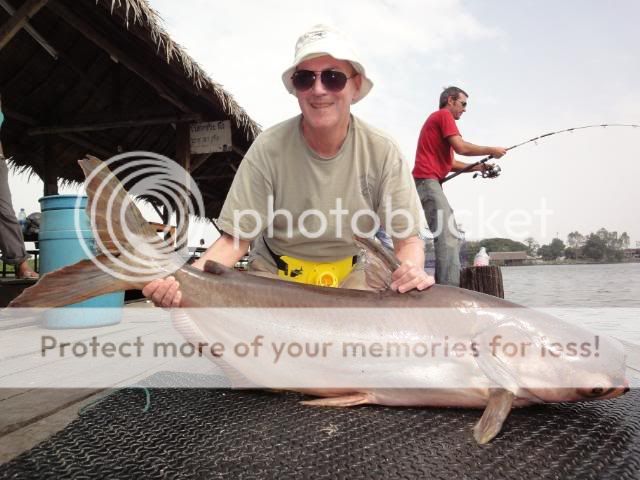 65kg 巨鲢鱼 - 泰国 !